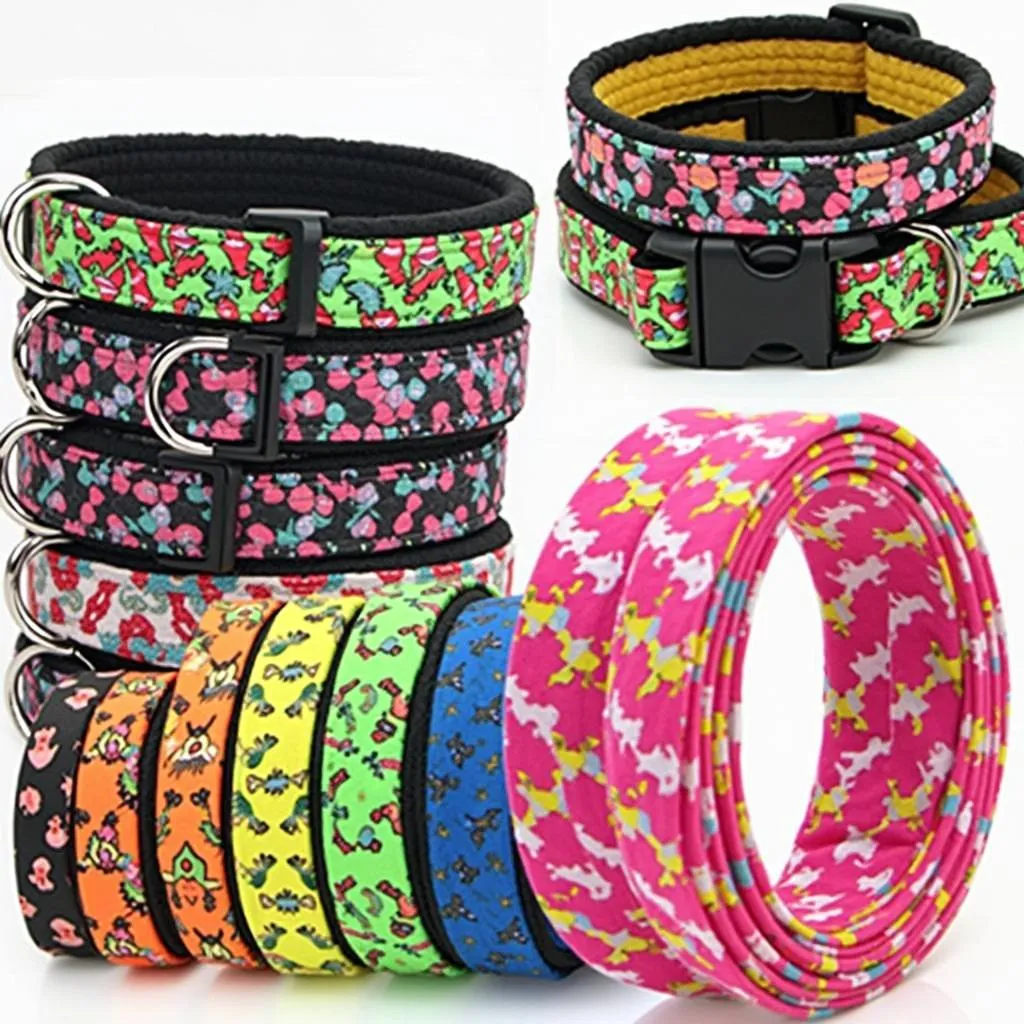 Neon Dog Collar Styles and Colors