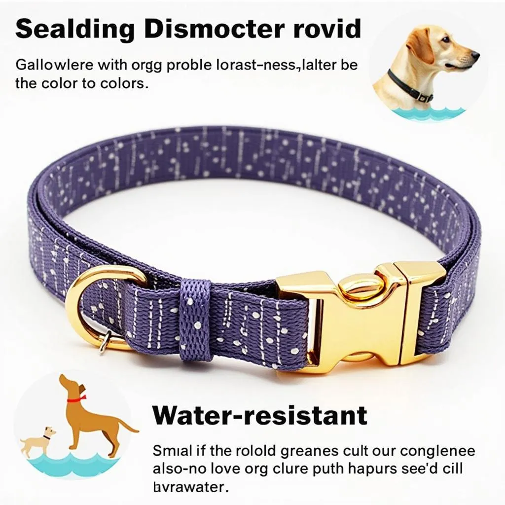 Nylon Dog Collars for Border Collies: Lightweight and Affordable