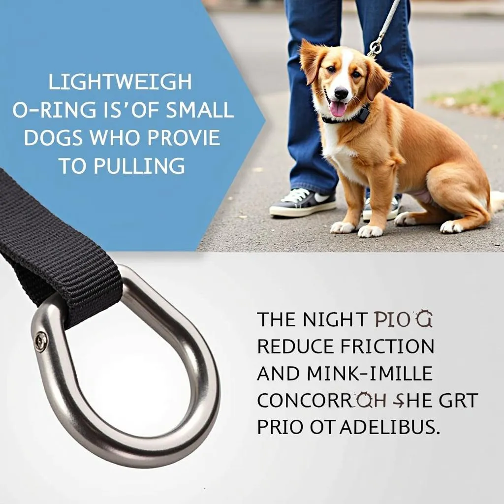 Lightweight O-Ring Leash Anchor for Small Dogs