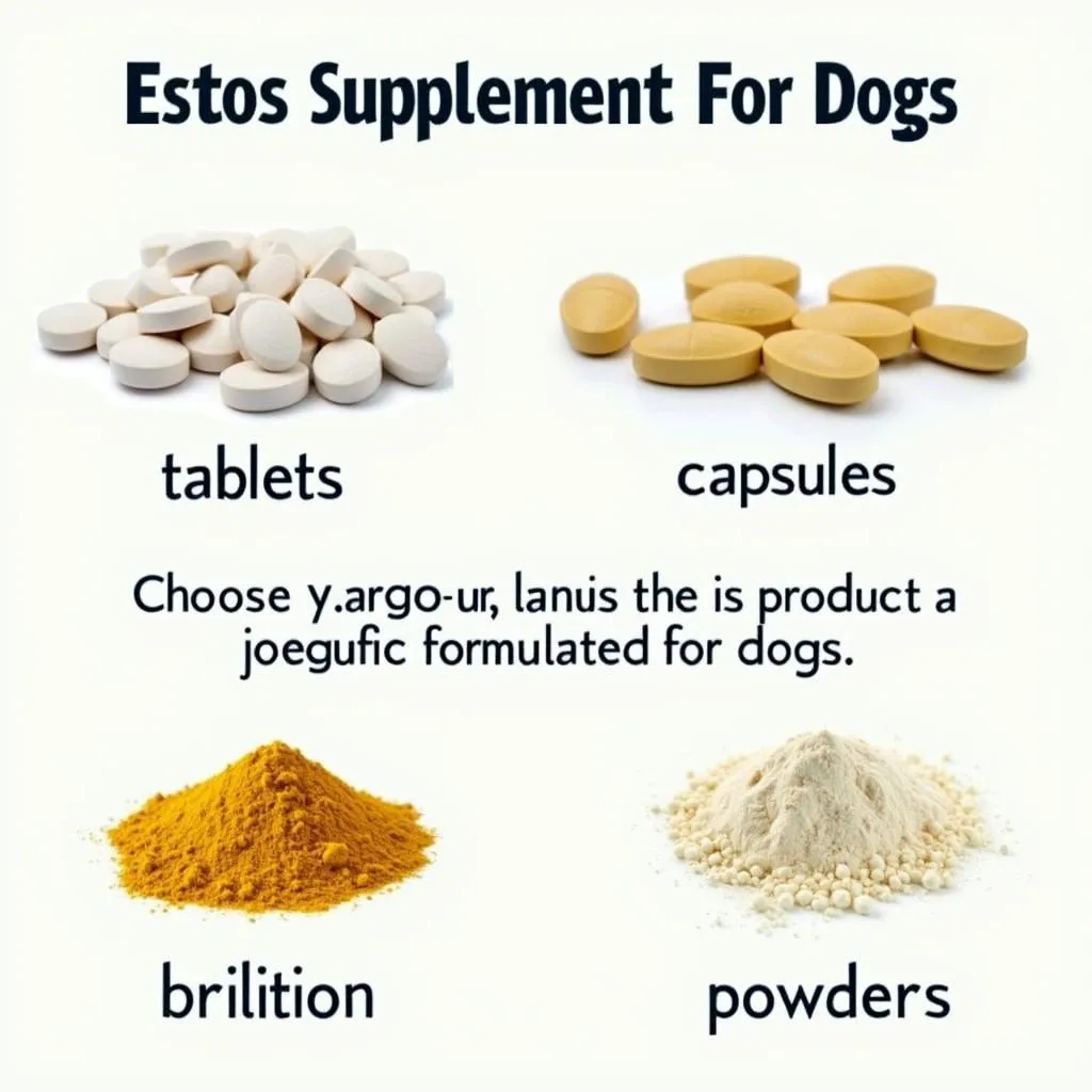 Osteo Supplements for Dogs