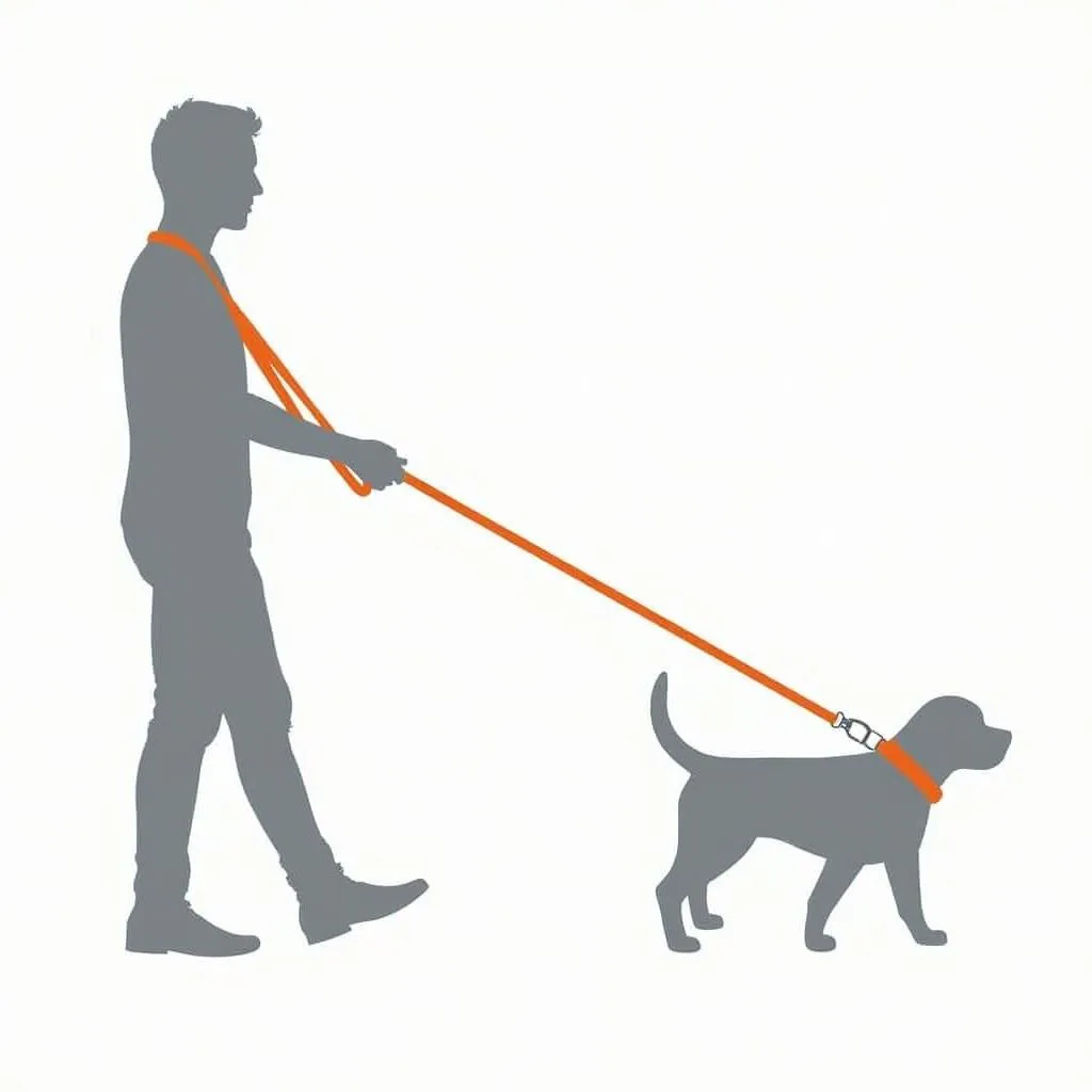 Walking, running, and hiking hands-free with your dog