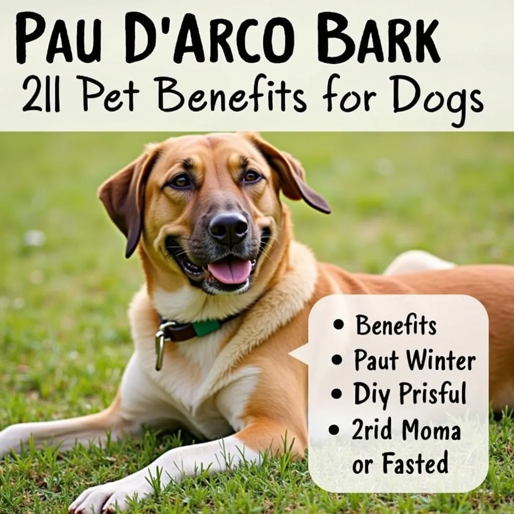 Pau d'Arco Bark Benefits For Dogs