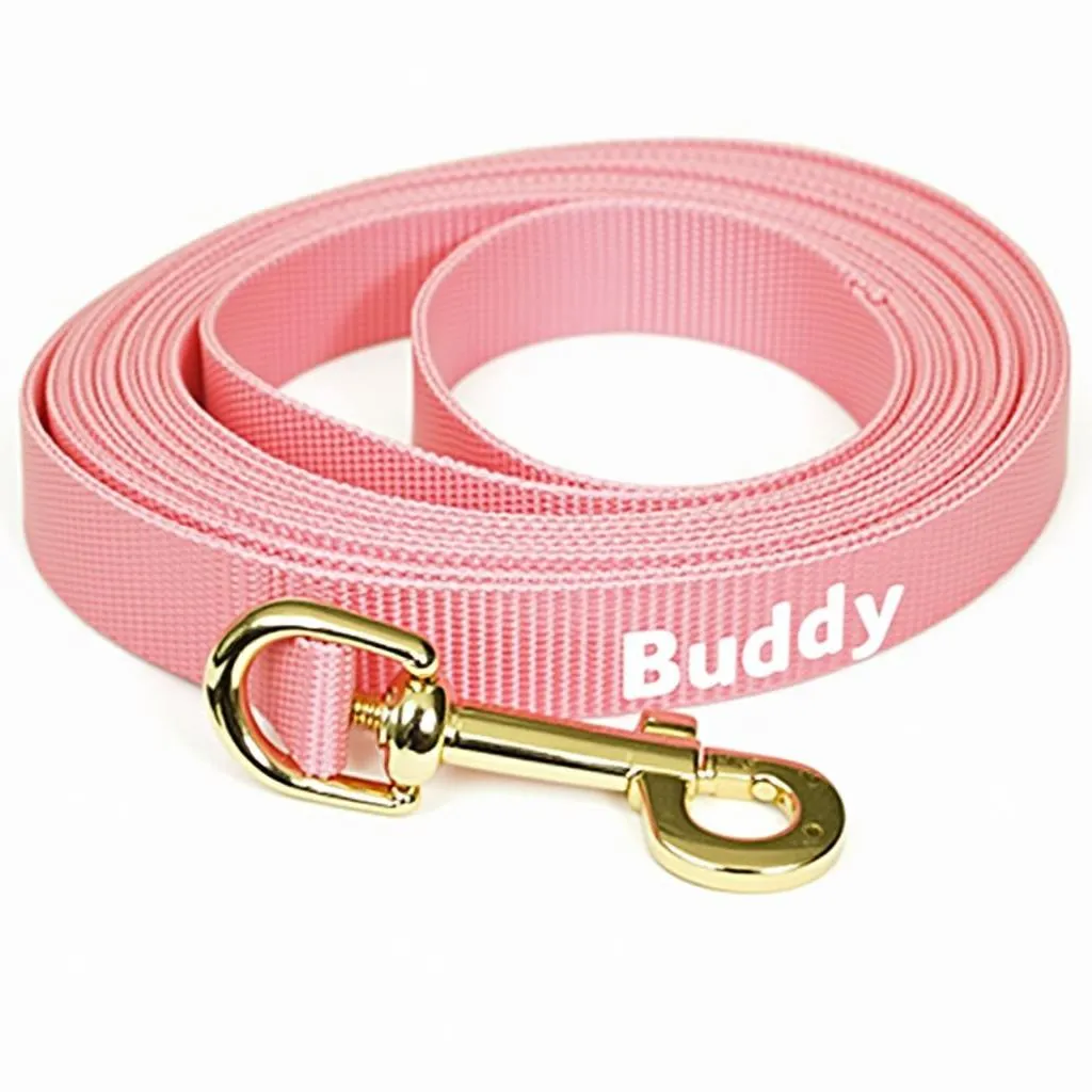 Personalized red nylon dog leash with name embroidery