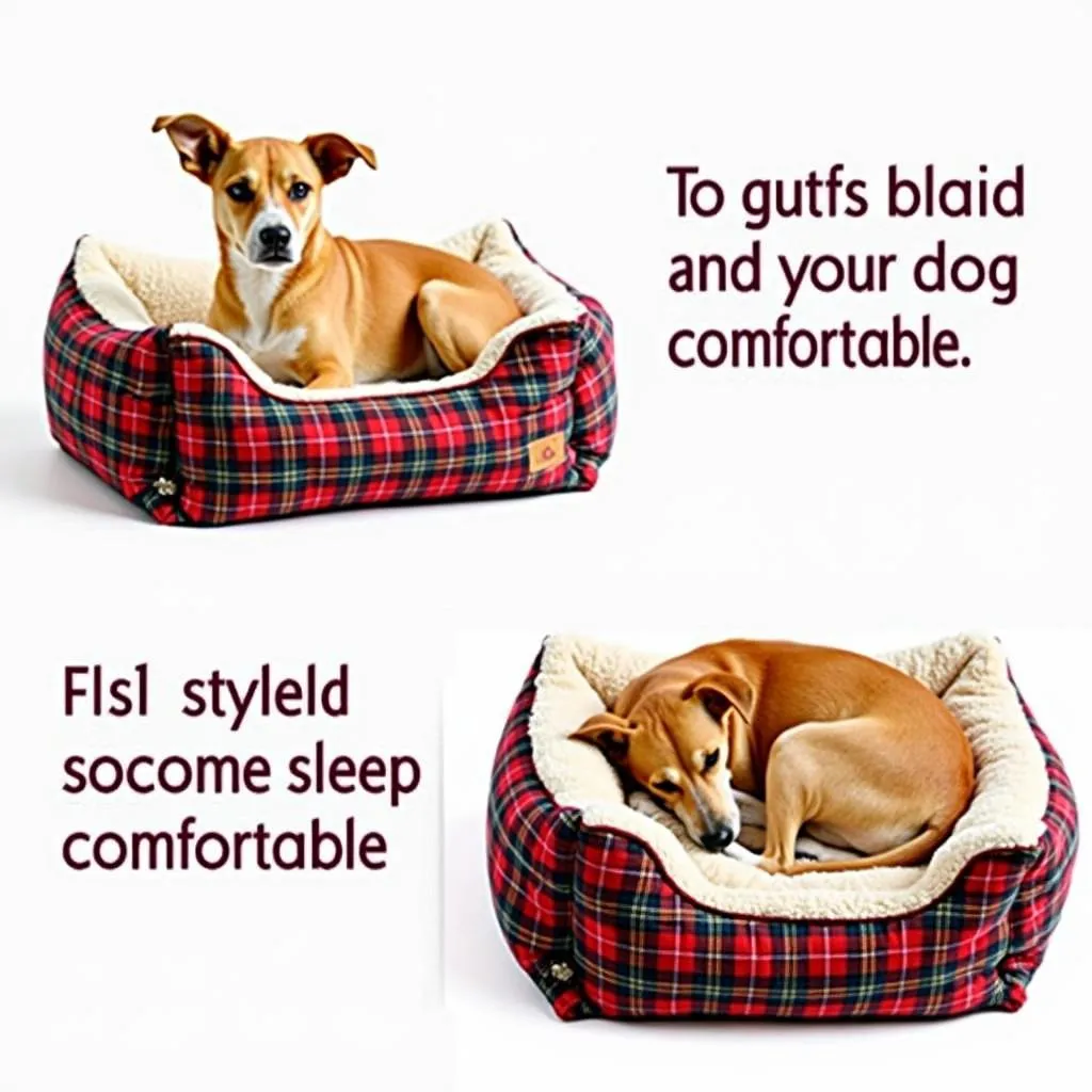 Cozy plaid dog bed for your furry friend