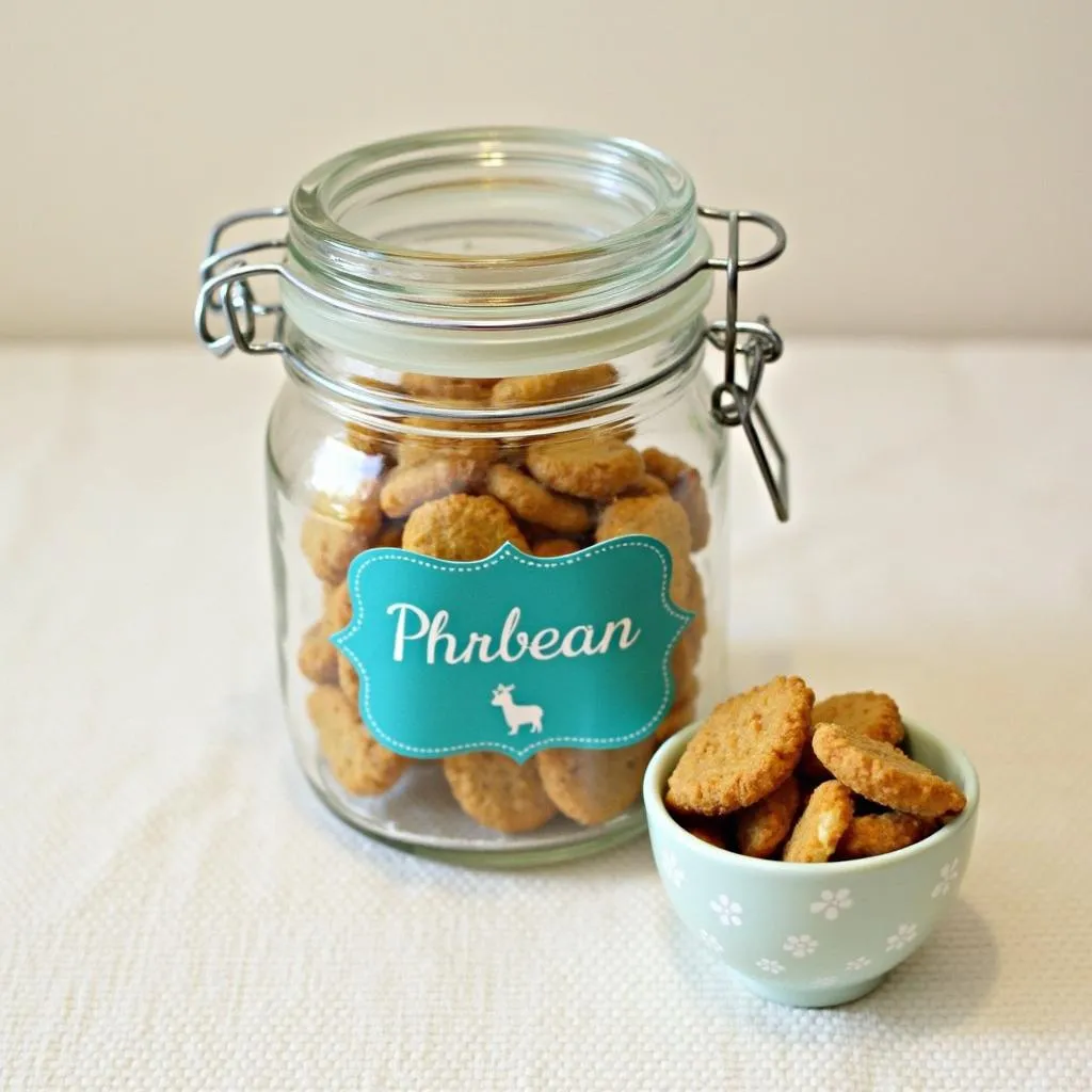 Repurposed Glass Jars for Storing Dog Treats