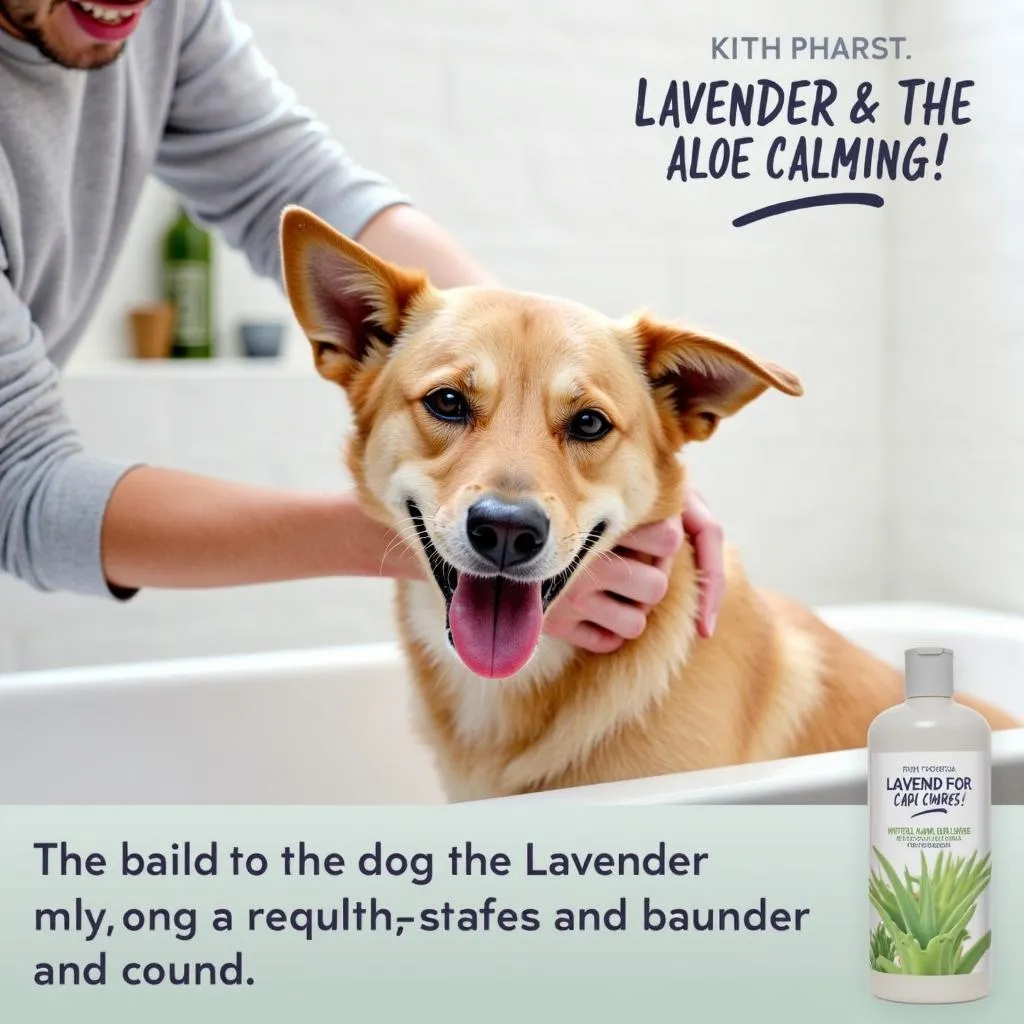 Safe for all dogs? Lavender and aloe calming dog shampoo