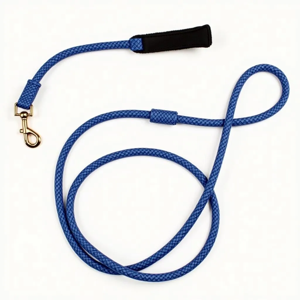 Dog Leash Nylon Standard