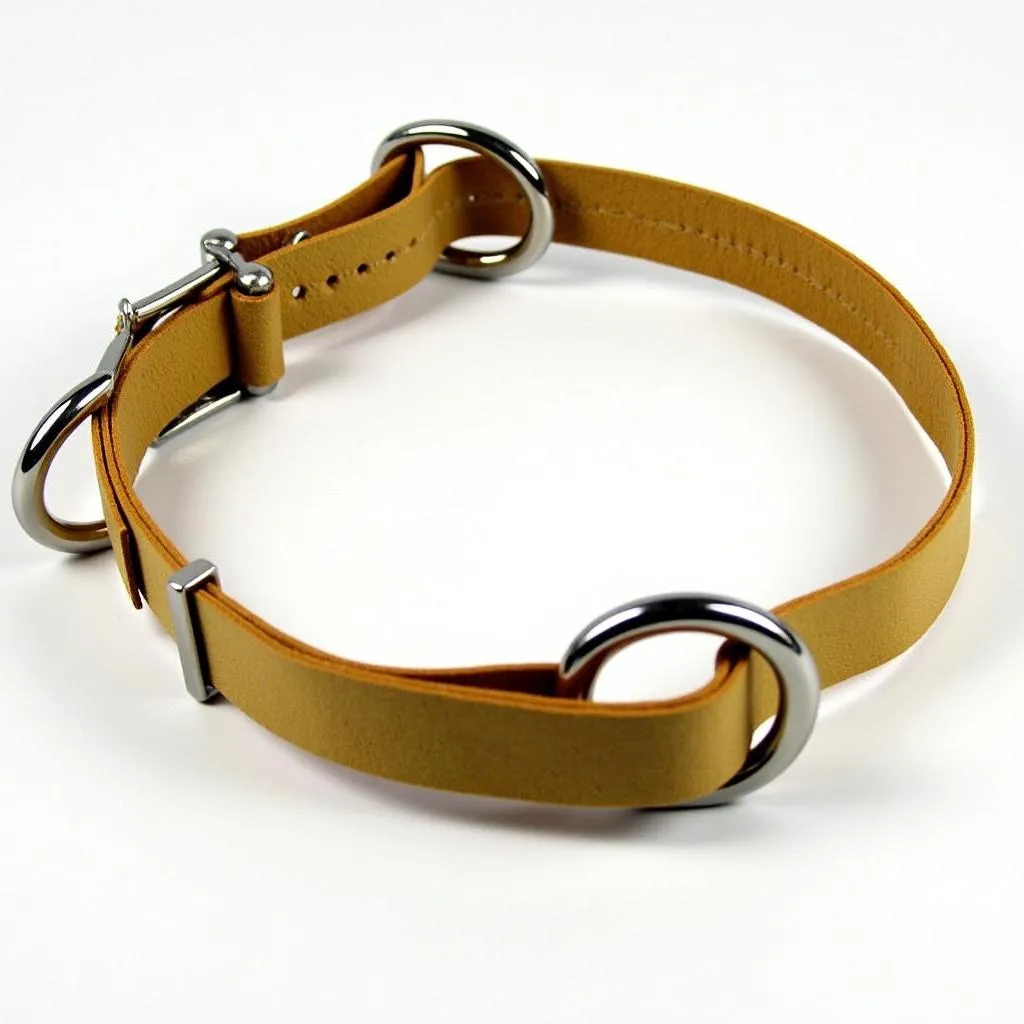 Slip Lead Collars for Dogs: A Guide for Responsible Dog Owners