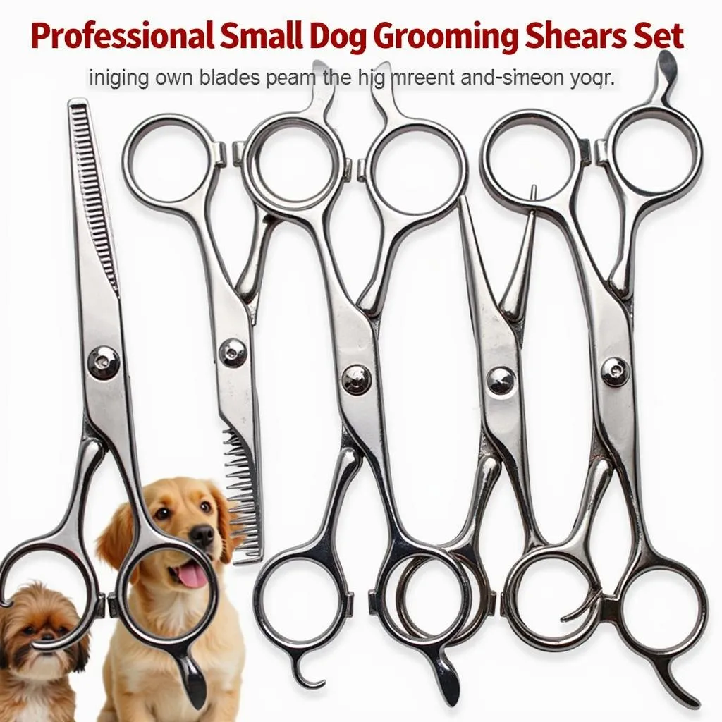 Small dog grooming shears: Professional tool for maintaining your dog's coat