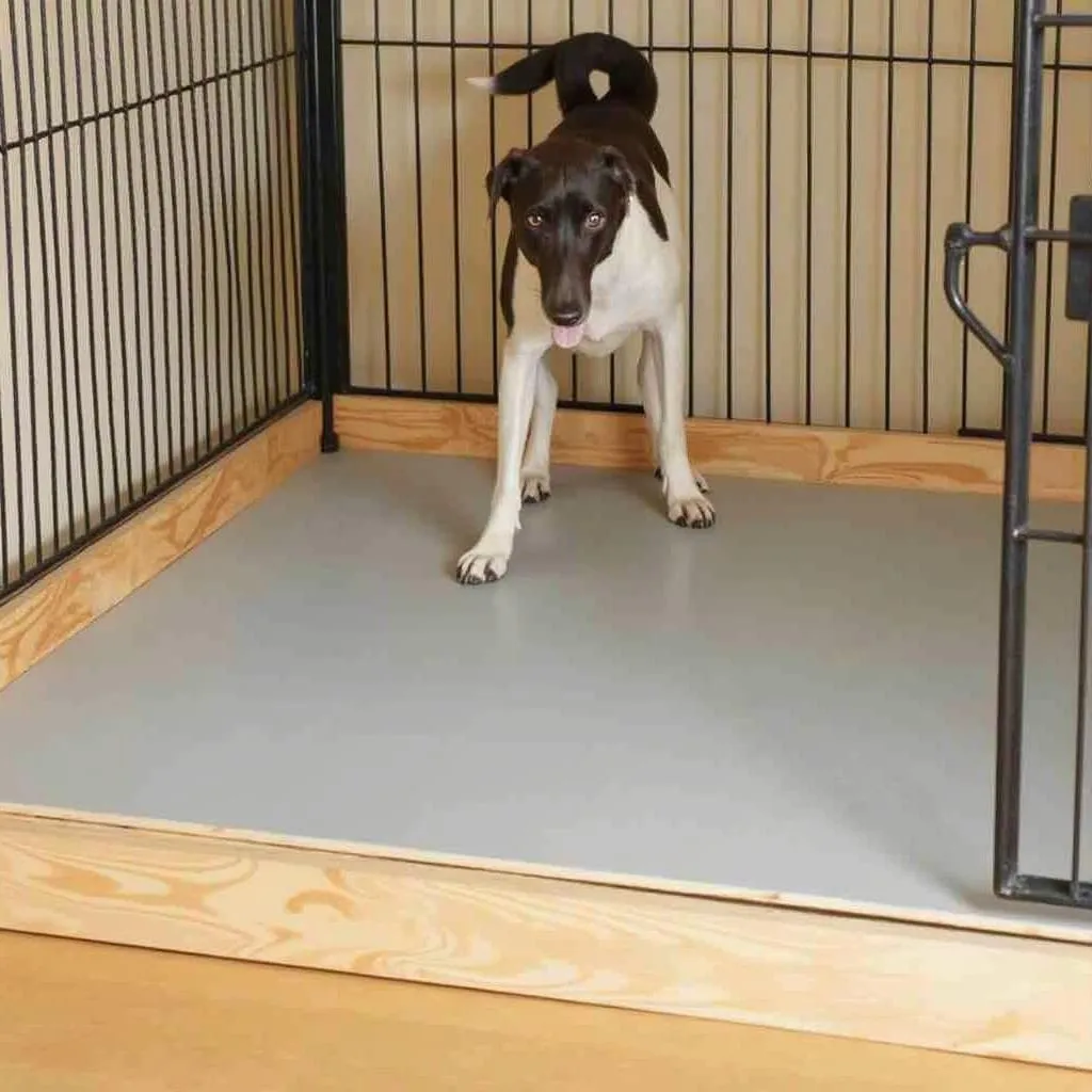 Solid Dog Crate Floor:  Comfort and Hygiene for Your Pup