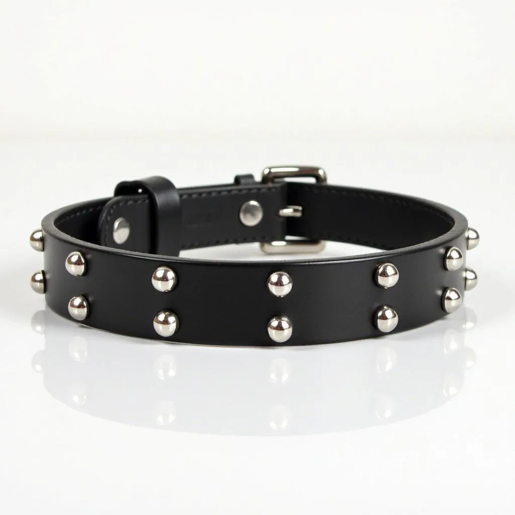 Black Leather Dog Collar with Silver Studs