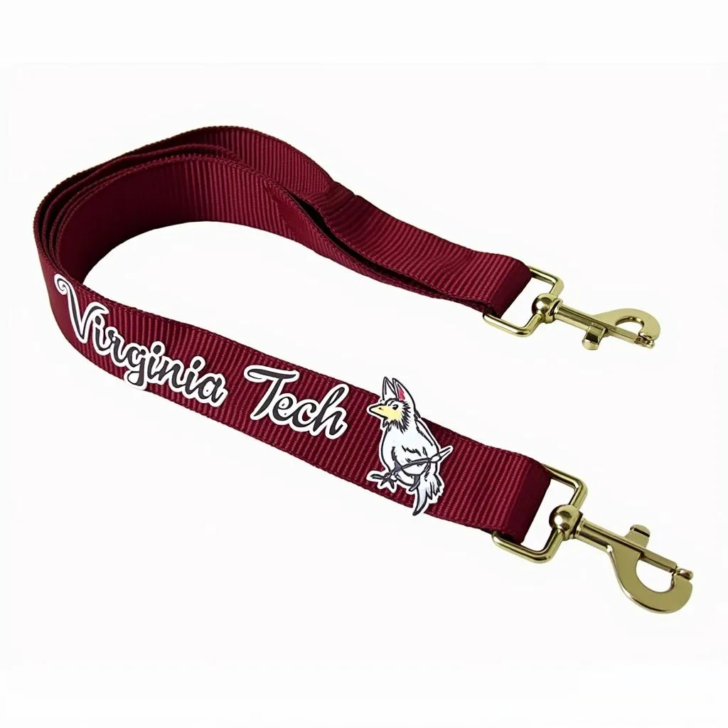 Virginia Tech dog leash and collar set