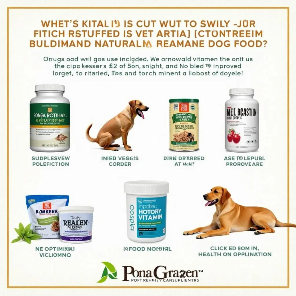 Vitamin and Mineral Mix for Homemade Dog Food