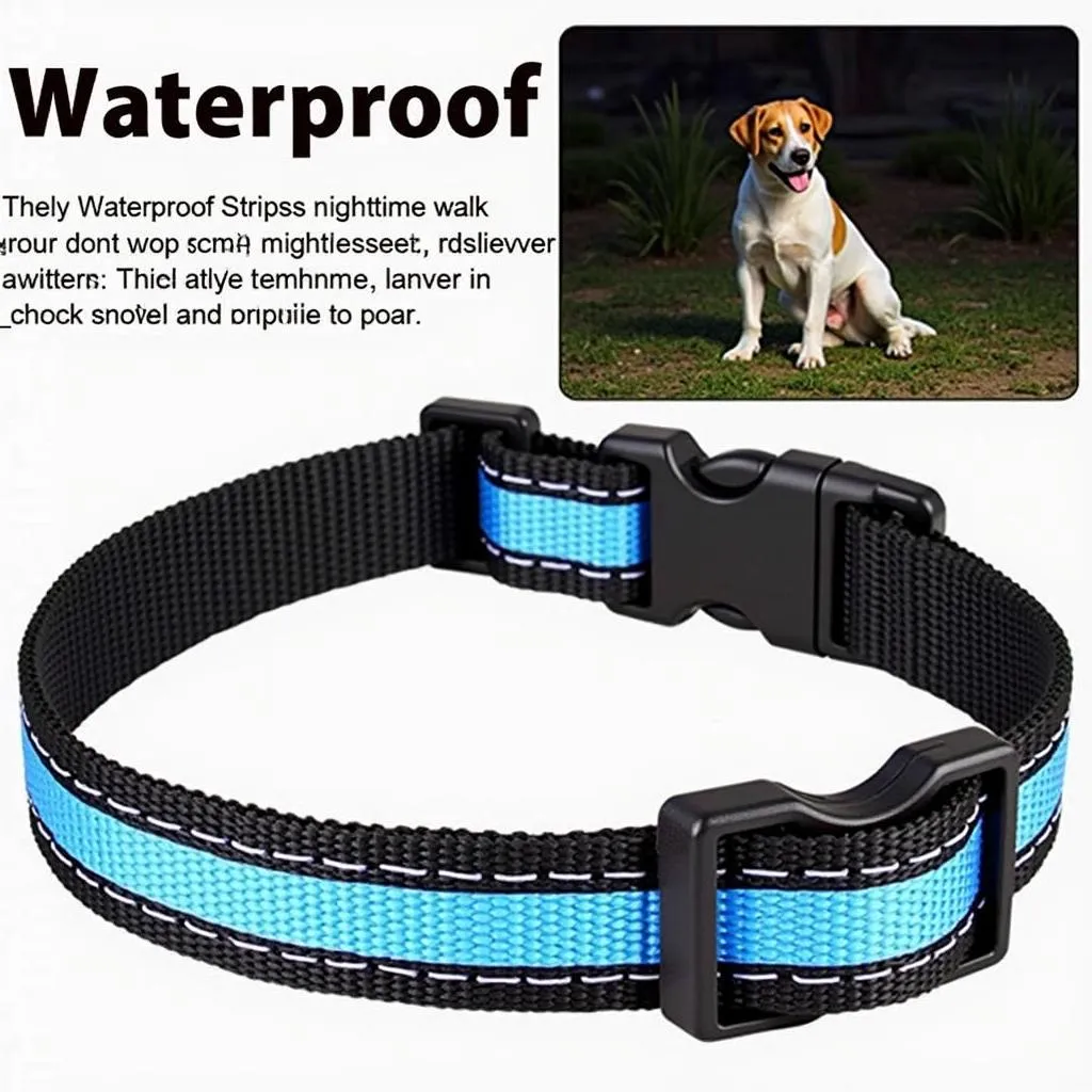 Waterproof Collar for Dogs: An Essential Accessory for Your Adventurous Pup